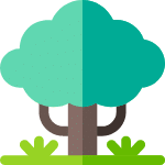 Nature activité insolite au camping : nature